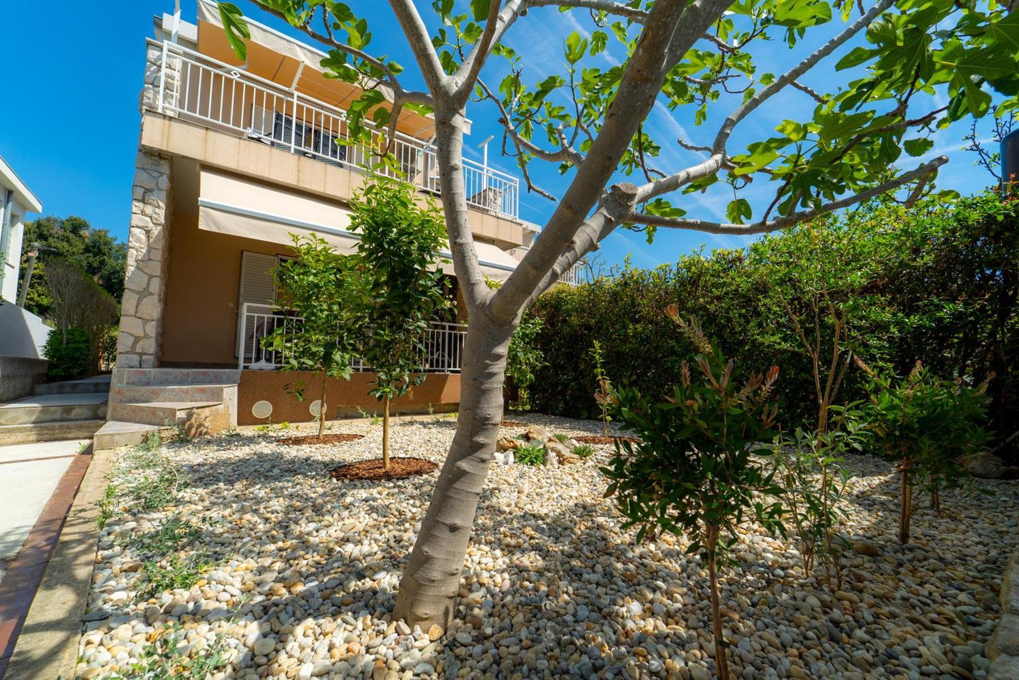Apartments Ivos Sveti Petar  Ngoại thất bức ảnh